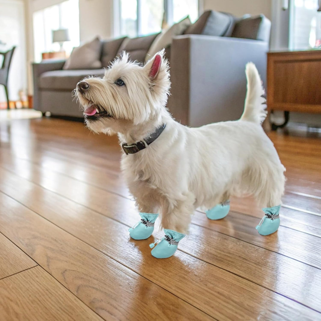 SCENEREAL Dog Shoes for Hot/Cold Pavement