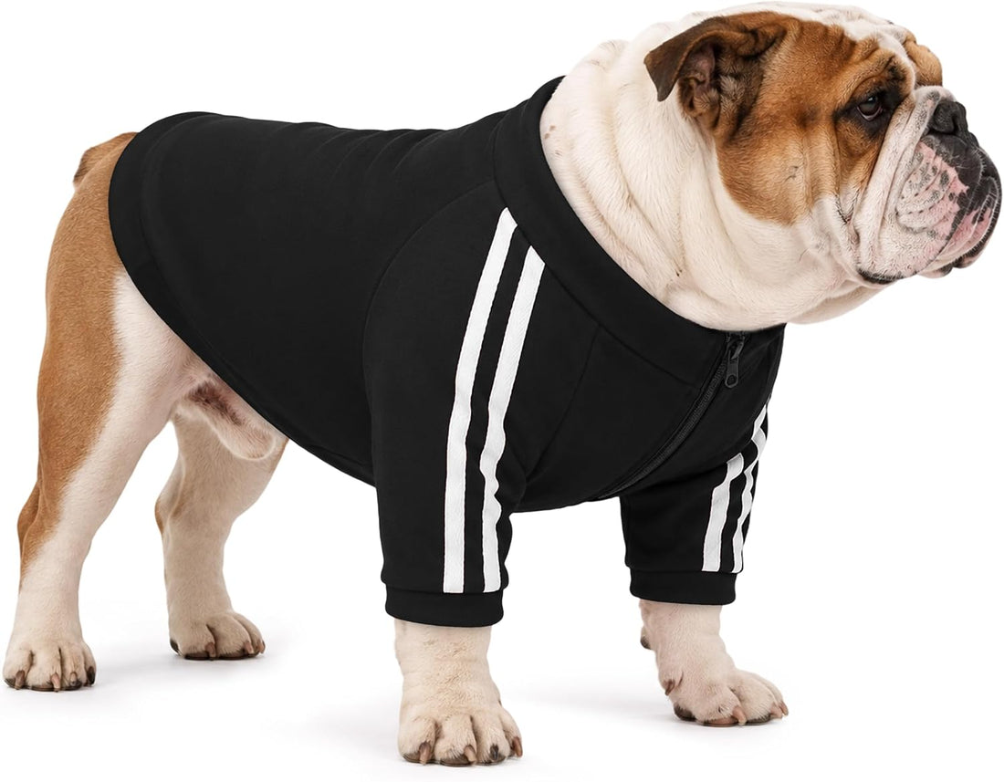 PUMYPOREITY Bulldog Sweatshirt for Broad-Chested Dogs, Blue, L