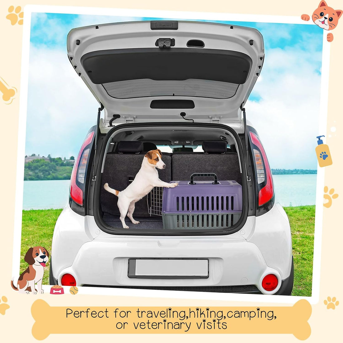 2 Set 17.5" up to 13lbs Small Cat Dog Travel Pet Carrier