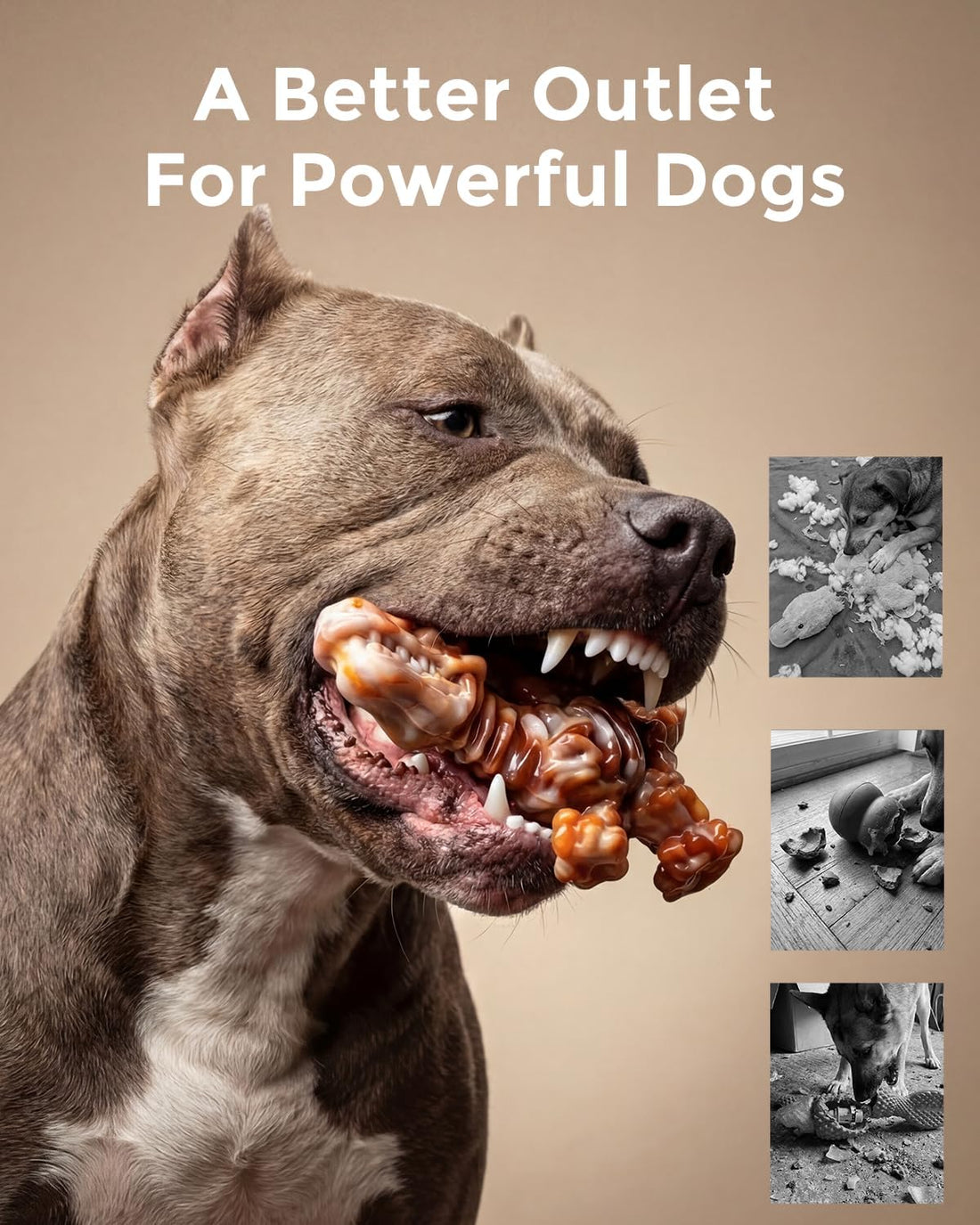 ChienBox DinoBone Dog Toys for Aggressive Chewers
