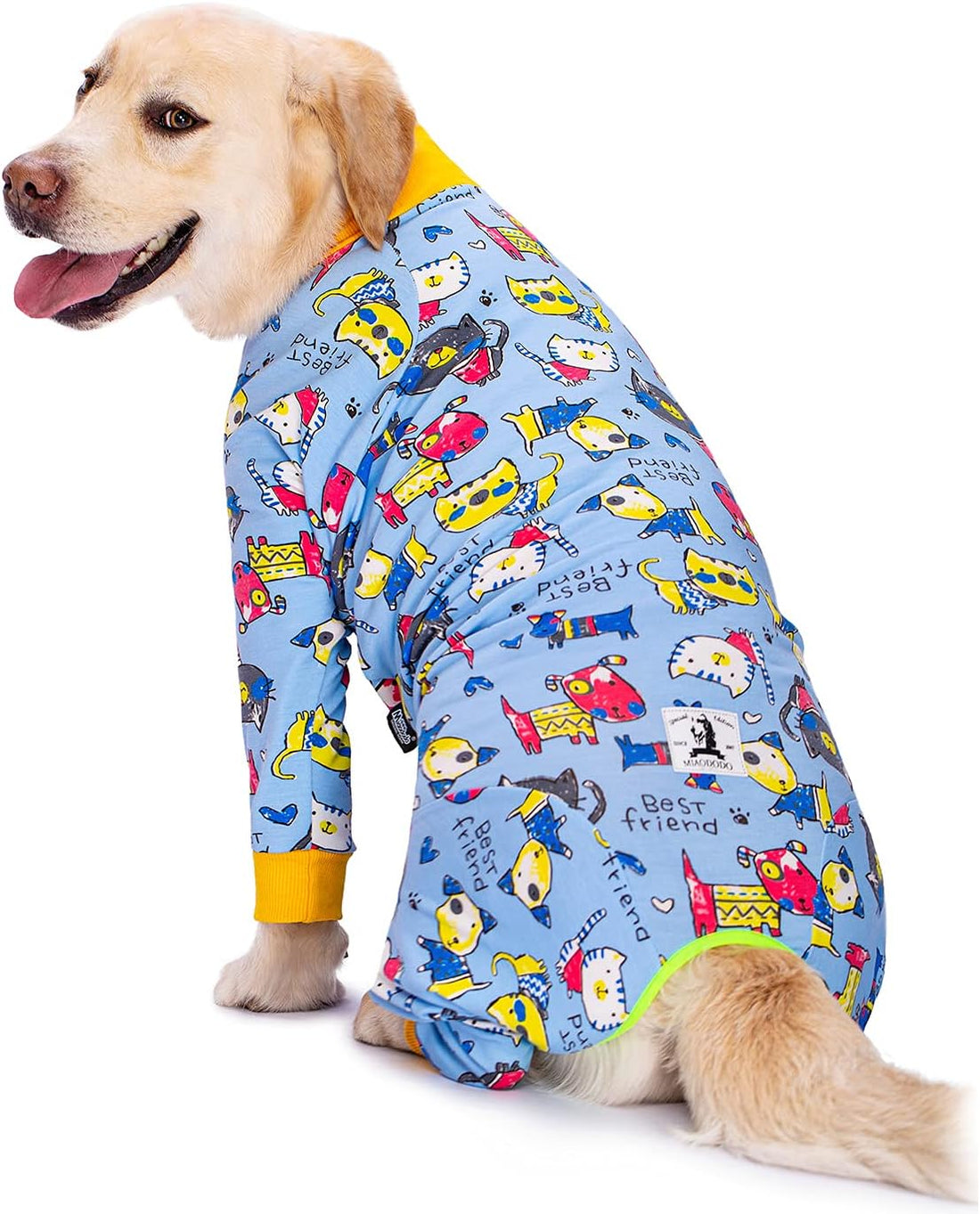 Dog Surgery Recovery Suit Female Male for Dogs After Surgery Medium
