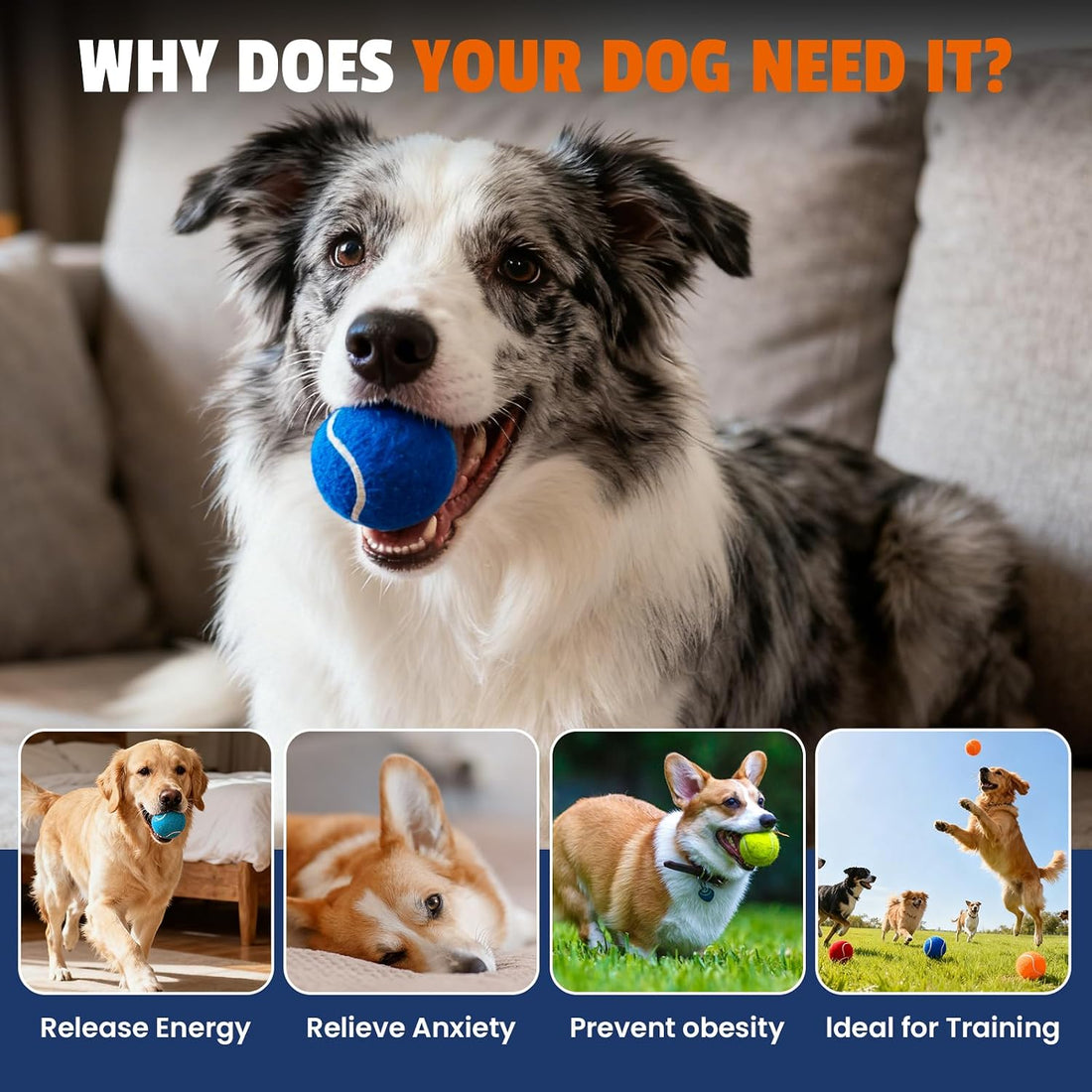 FURWEY Tennis Balls for Dogs 16 Pack,2.5 inches,Durable and Non-Toxic