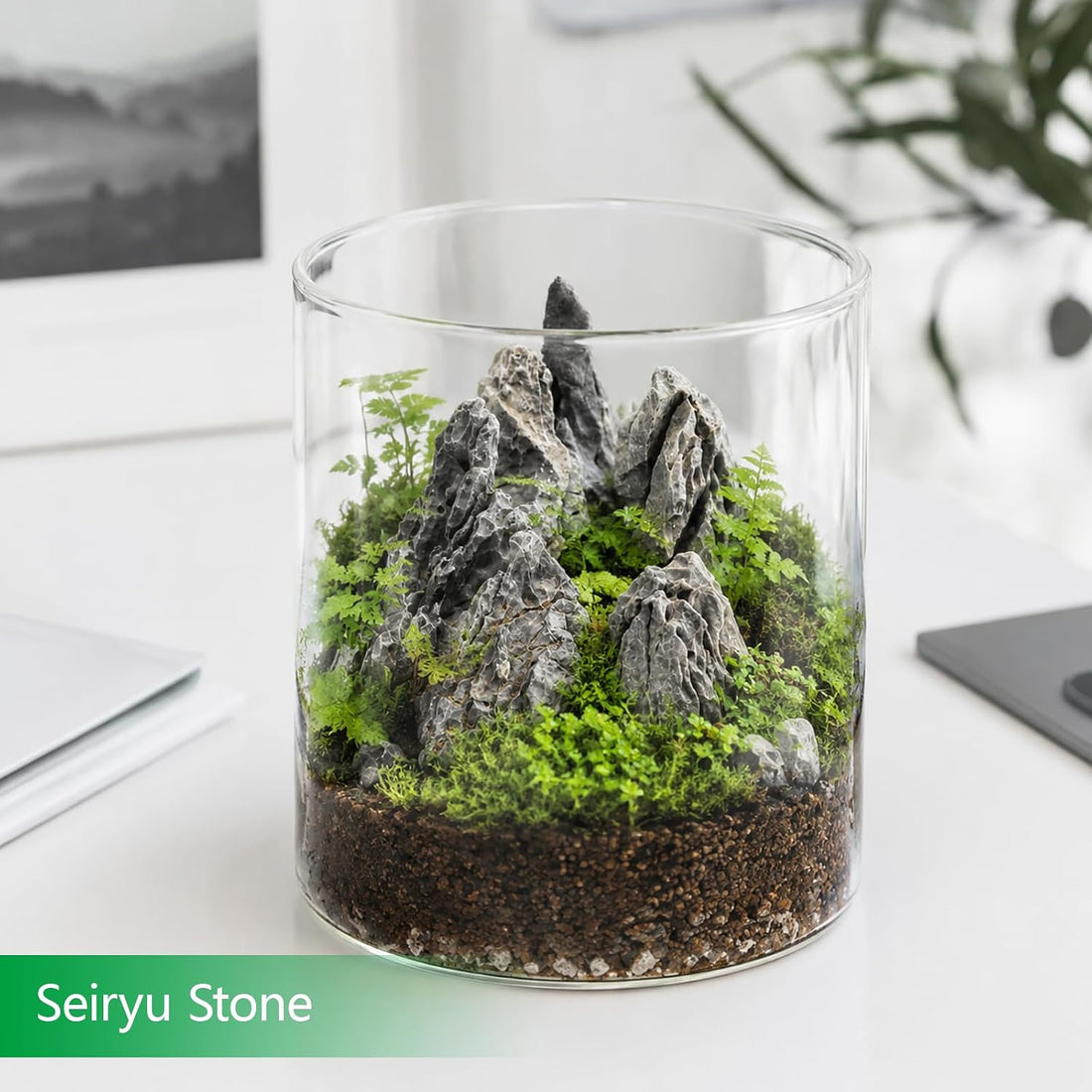 Natural Slate Stone 2-3 in 1LB Terrarium Rock for Miniature