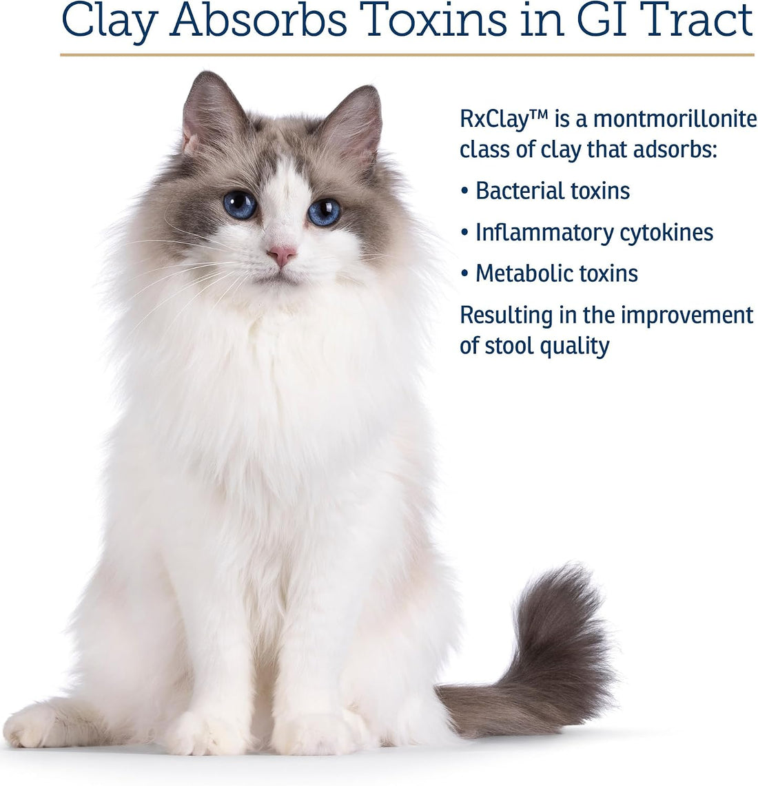 Rx Vitamins Rx Edible Clay Powder