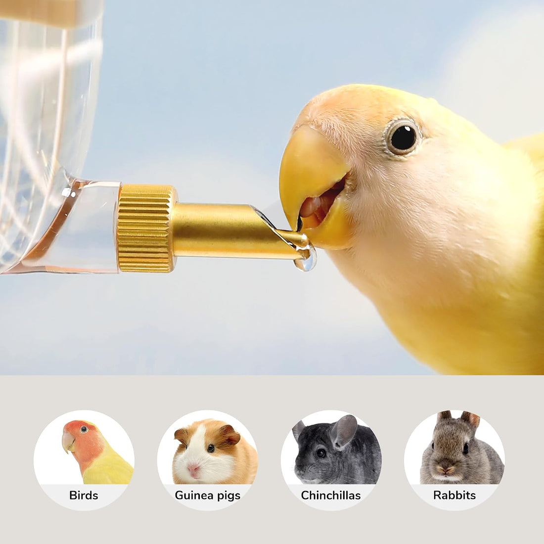 Tafit Leak-Proof & Chew-Proof Hanging Water Dispenser No Drip