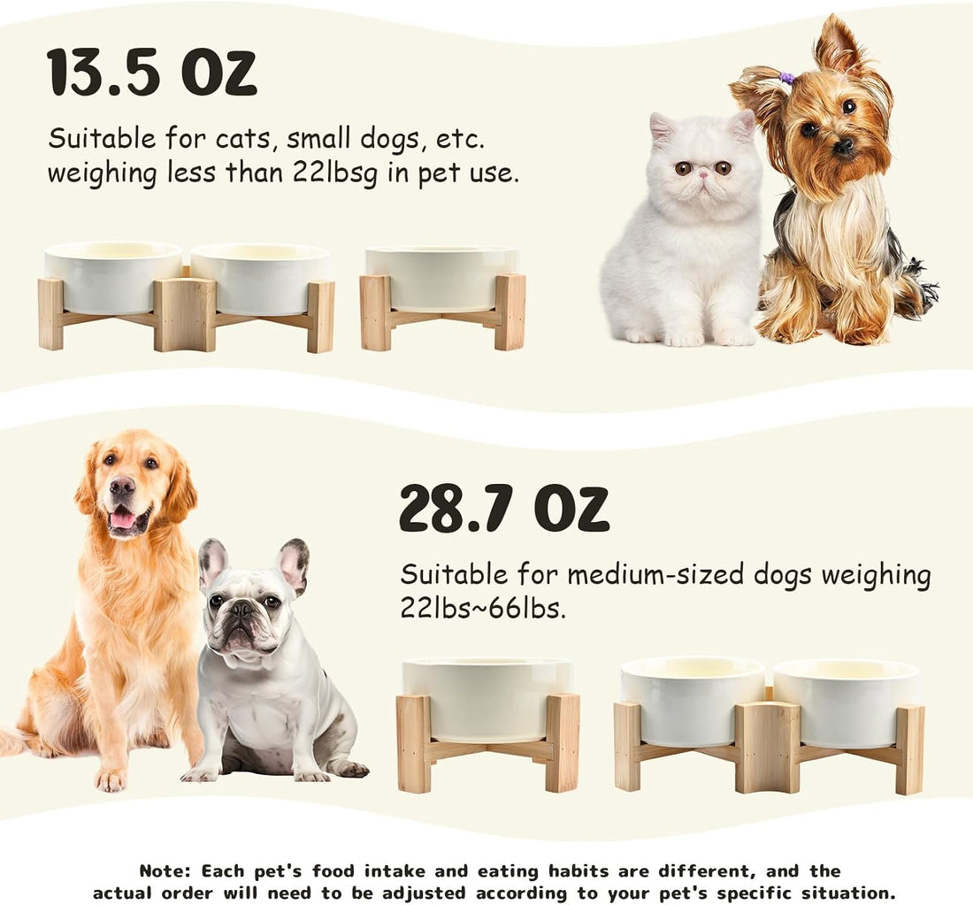 SPUNKYJUNKY 15° Slanted Ceramic Dog and Cat Bowl with Wooden Stand