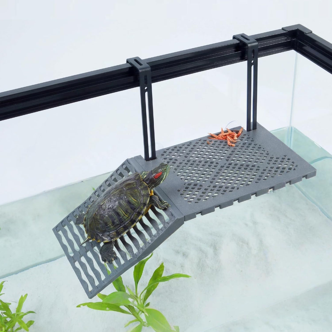 Large Hanging Turtle Basking Platform with Ramp, Food Tray, Upgraded