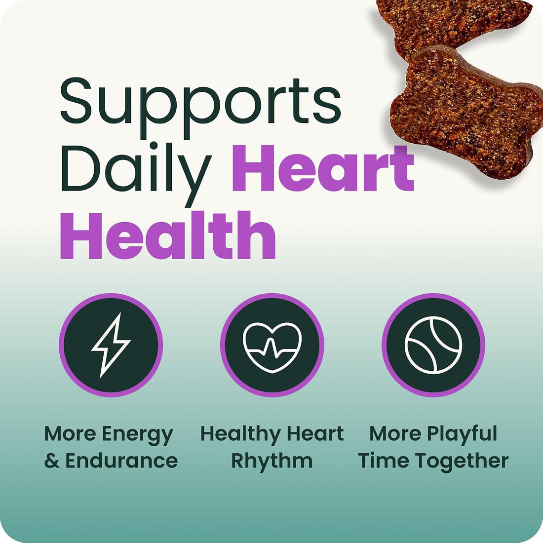 VetriScience Extra Strength Healthy Heart Chews for Dogs, Chicken