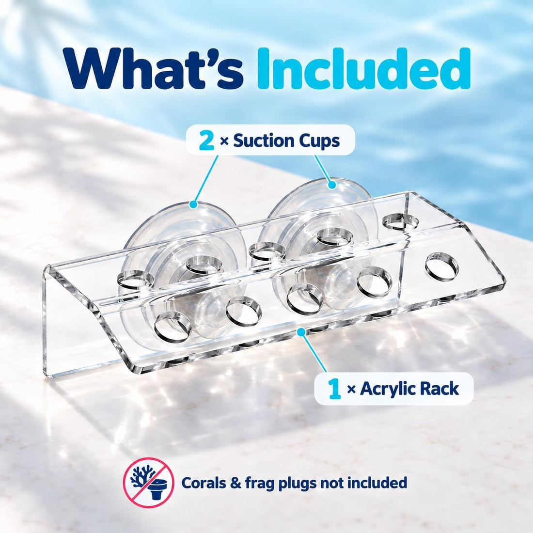 kcrygogo Coral Frag Holder Acrylic Coral Frag Rack with Powerful