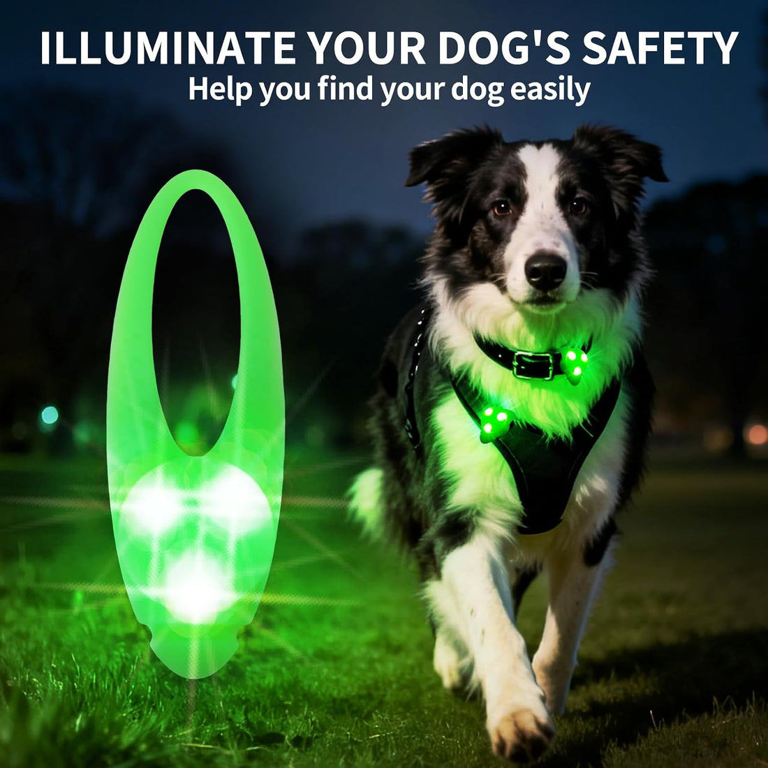 LaRoo Dog Lights - Led Collar Lights for Nighttime Walking