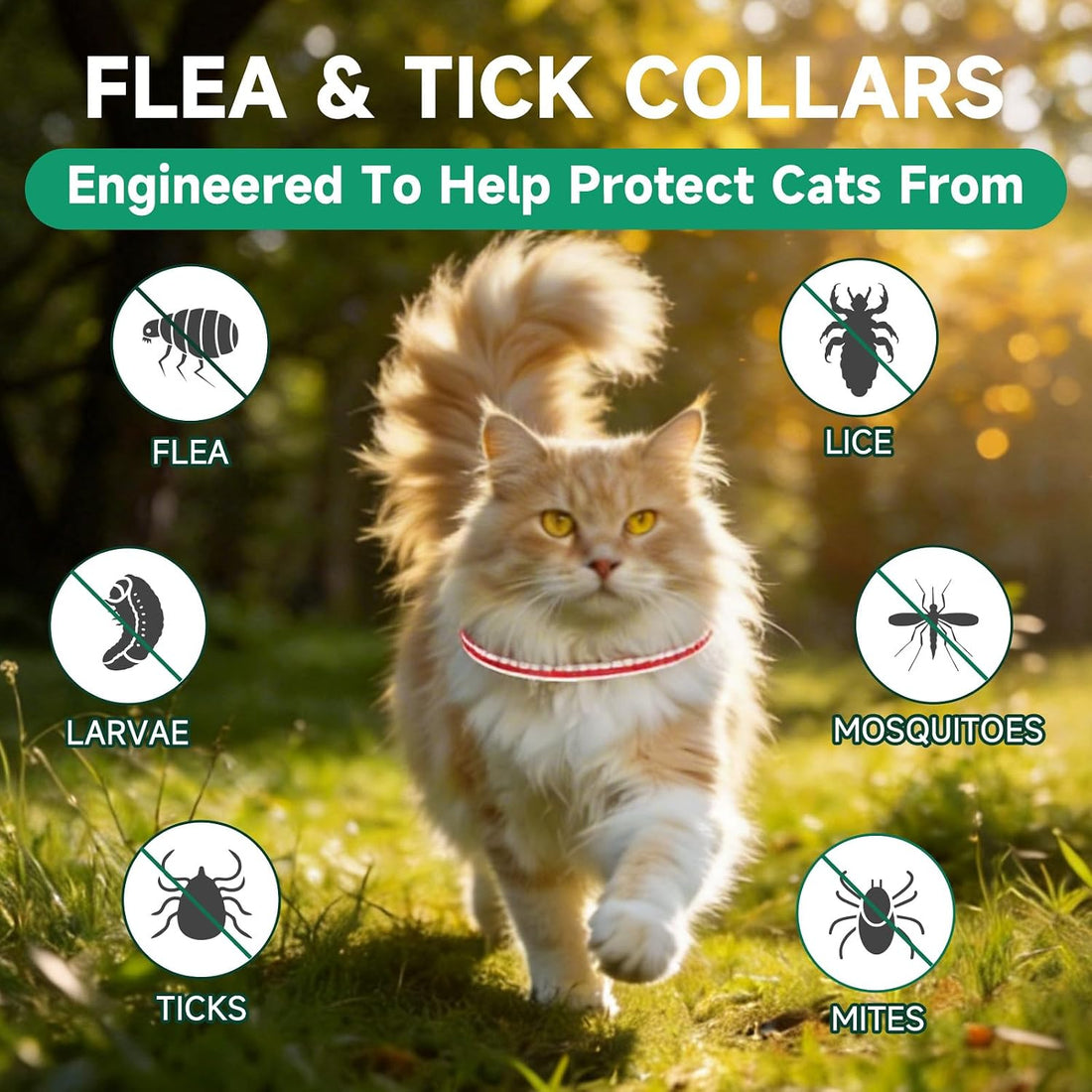 Flea Collar for Cats, Cat Flea and Tick Treatment, 4-Pack