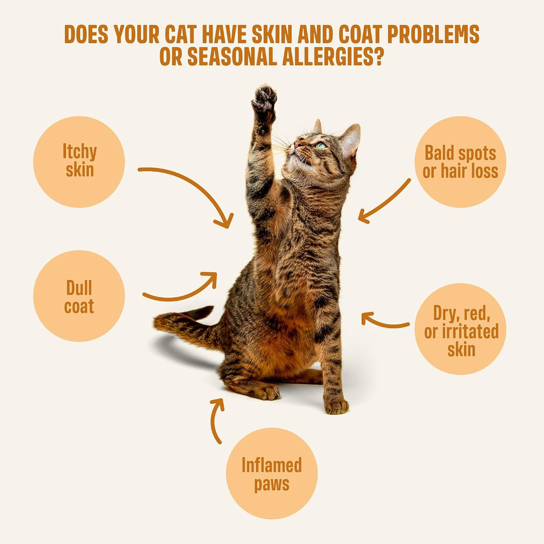 ivvi Skin & Coat for Cats β Functional Creamy Snack with Salmon Oil