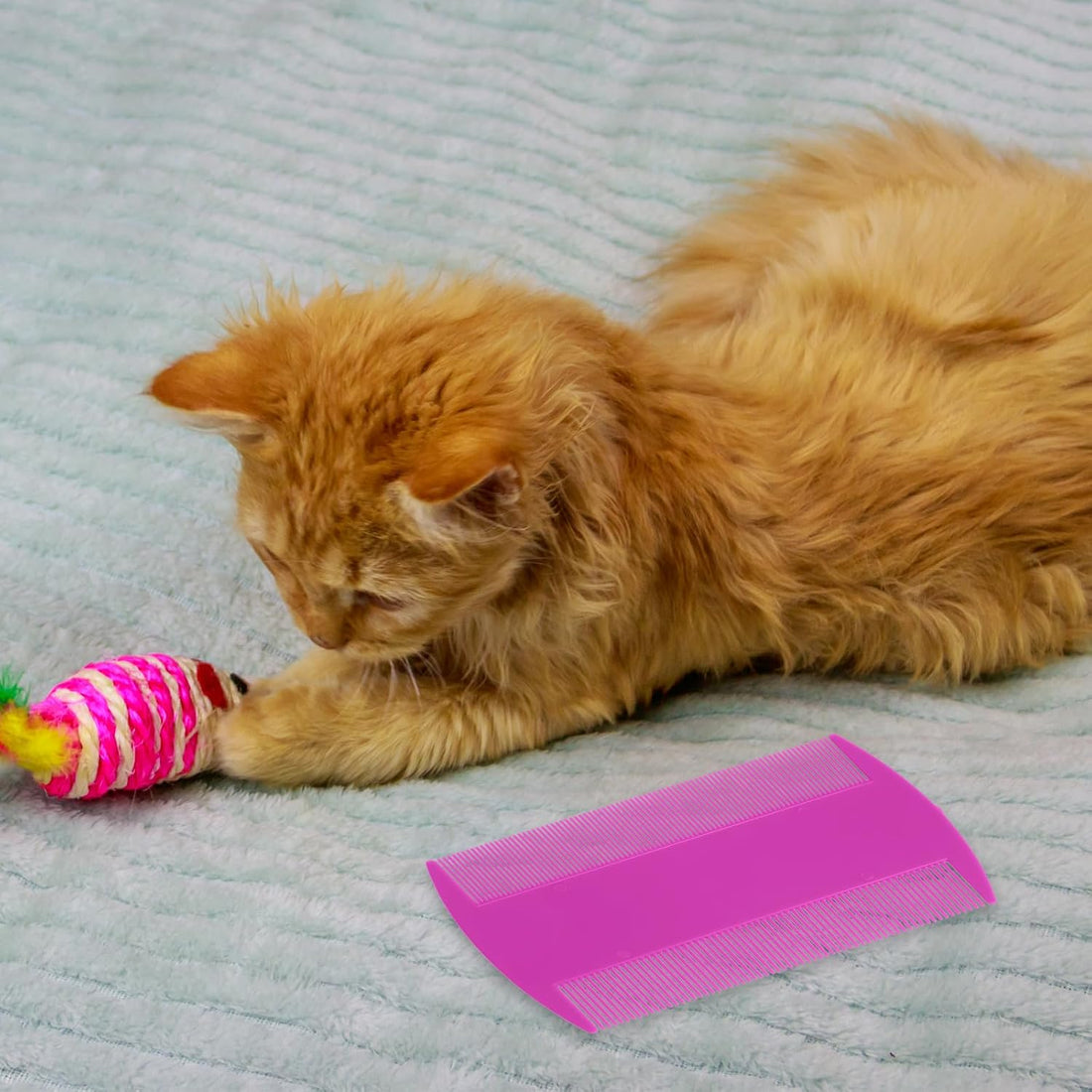 14 Pcs Lice Comb, Flea Comb, Double Sided Dandruff Comb, Cat Comb