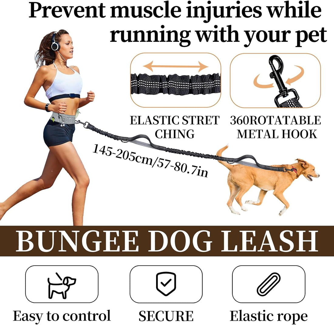 Hands Free Dog Leash with Partitioned Pouch Adjustable Waist Belt