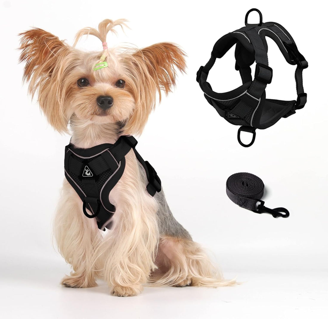Skmeditec Cat Harness and Leash Set
