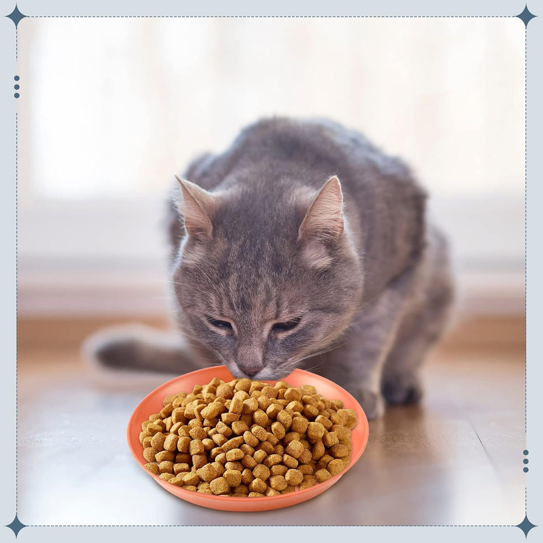 Gerrii 12 Pcs Cat Dish 6 Inch Shallow Wide Cat Bowls