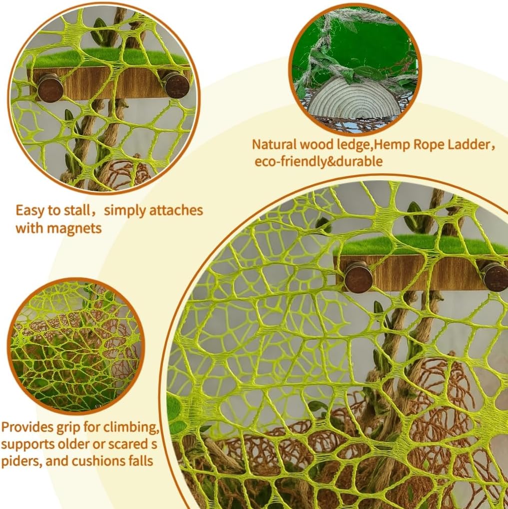 Jumping Spider Enclosure Accessories - 2 Wood Ledges & 4 Climbing Webs