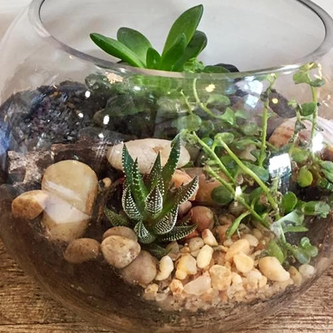 River Rocks for Plants 11.25 LB Small Decorative Pebbles 1"-1.5"