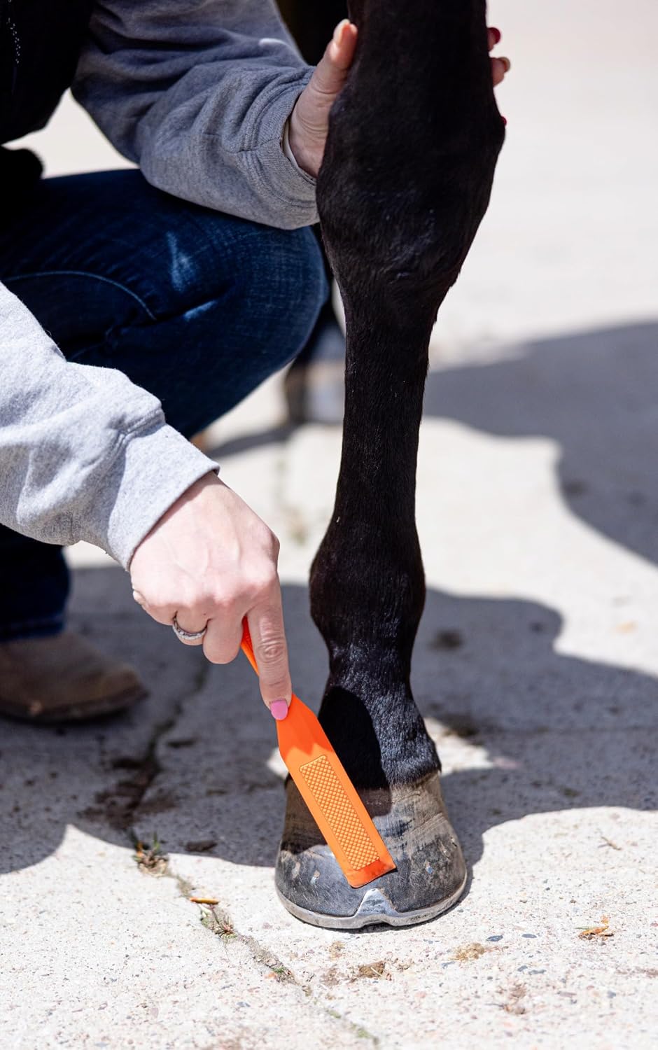 HoofWand • Horse Grooming Supplies for Daily Cleaning & Maintenance