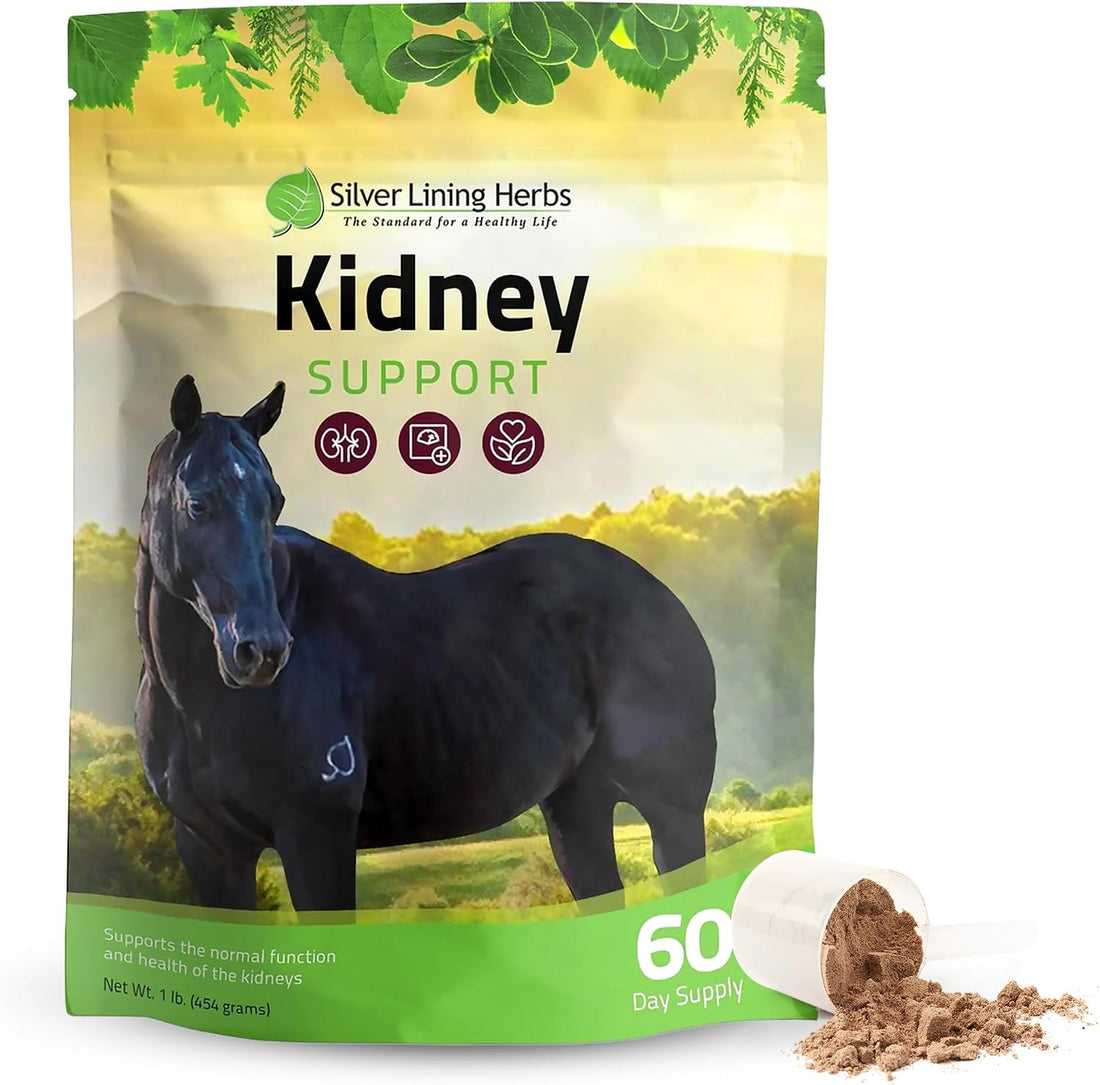 Silver Lining Herbs Kidney Support Supplement for Horses - 1 lb