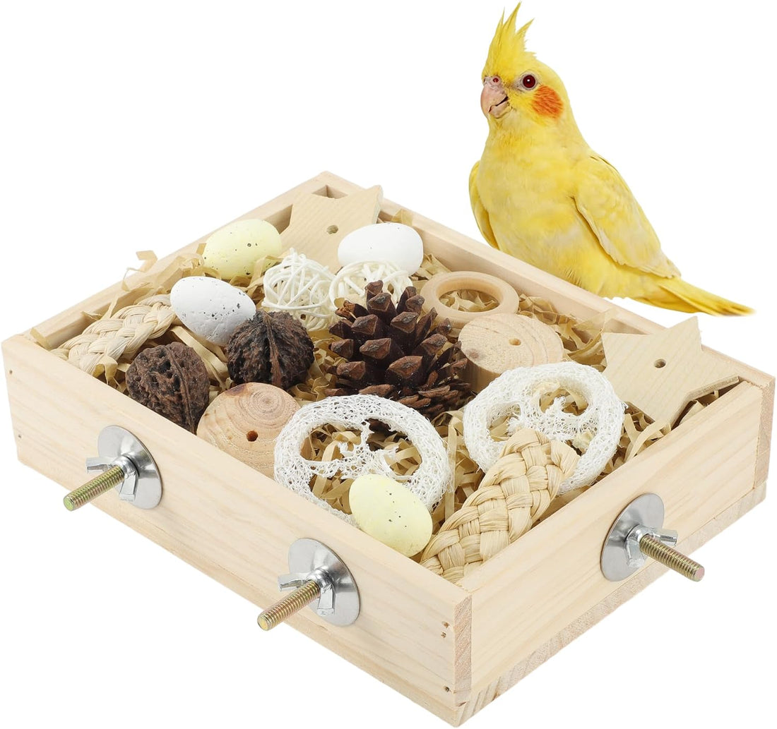 Bird Foraging Toys Box, Wooden Foraging for Bird, Wood Color M