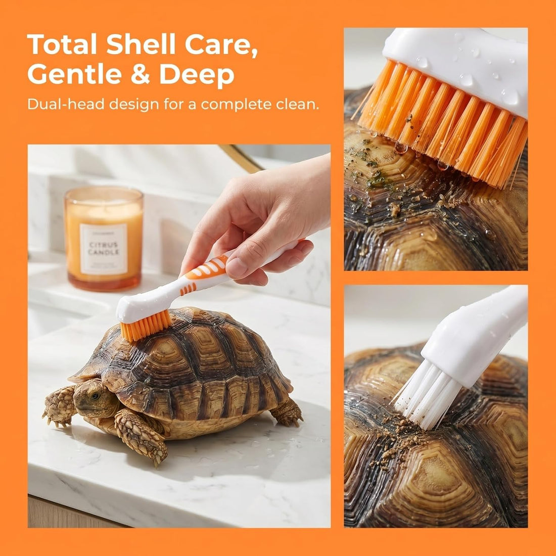 Turtle Shell Cleaning Brush - Aquatic Tortoise Shell Brush
