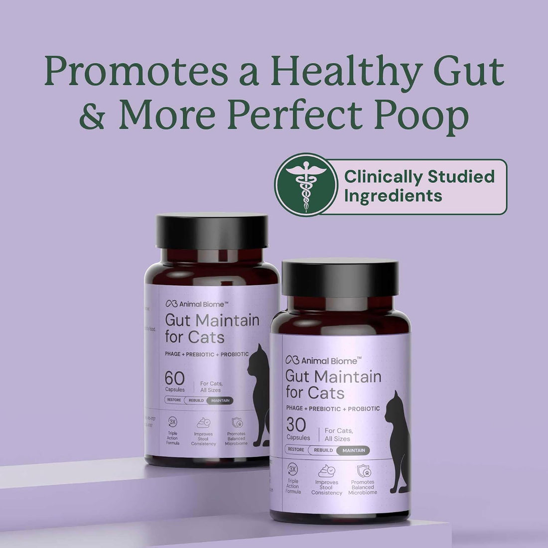 Animal Biome Cat Pre and Probiotic, S Boulardii, Gut Maintain