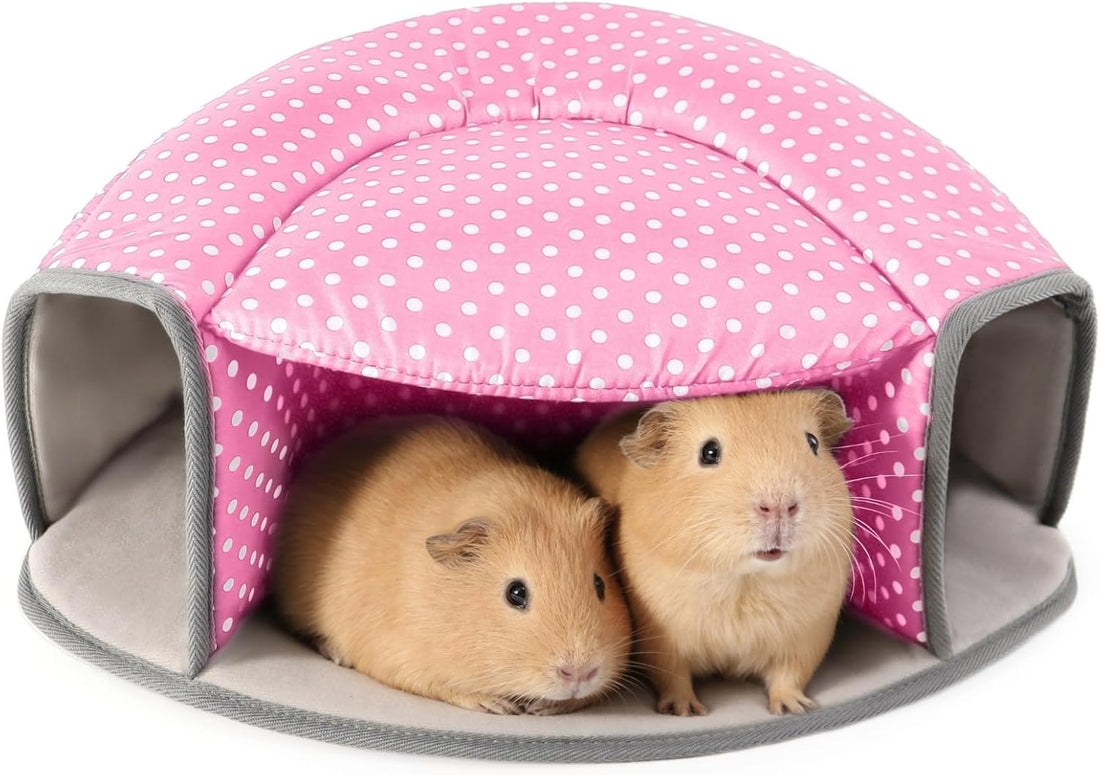 Guinea Pig Hideout Tunnel Bed