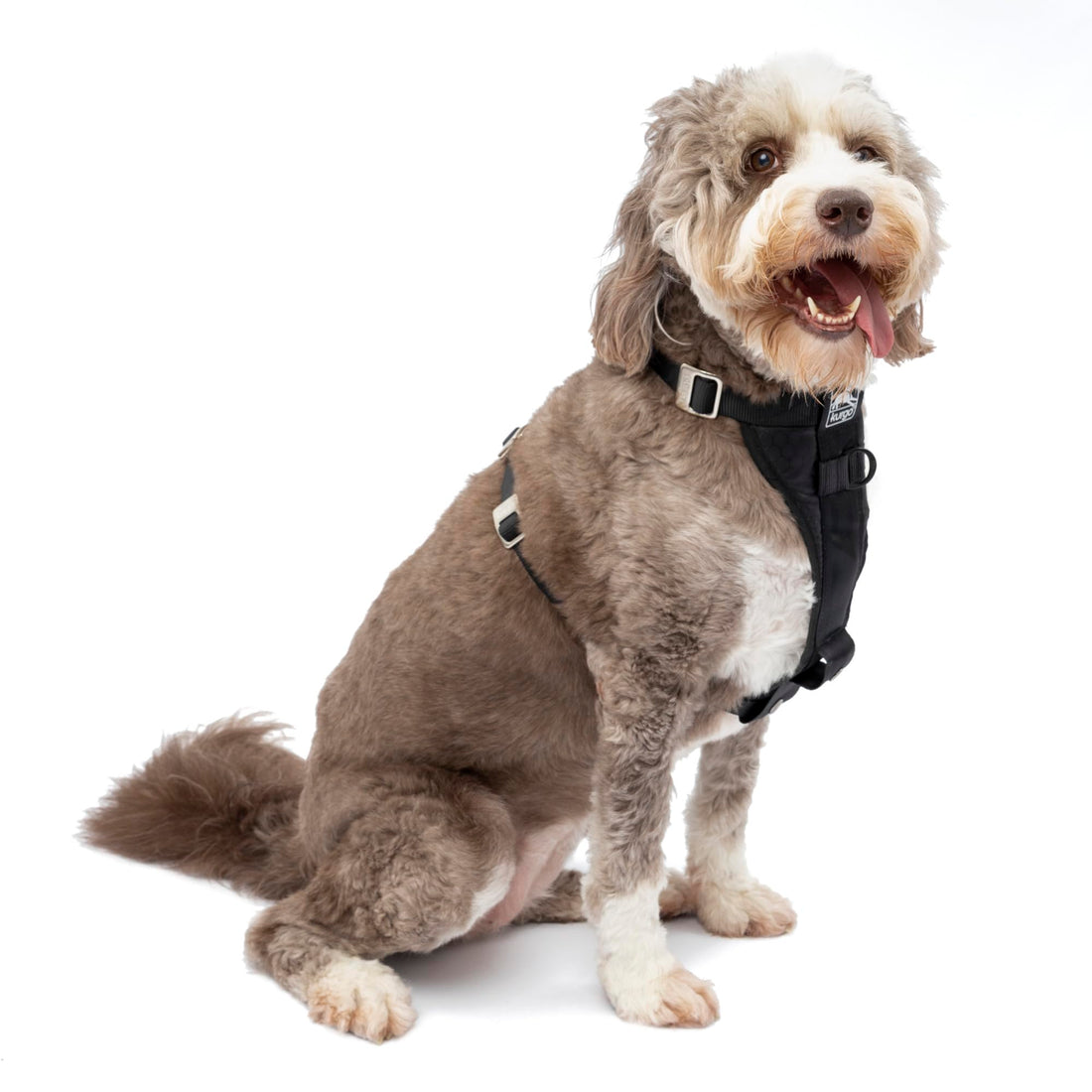 Kurgo Tru-Fit Enhanced Strength Dog Car Harness