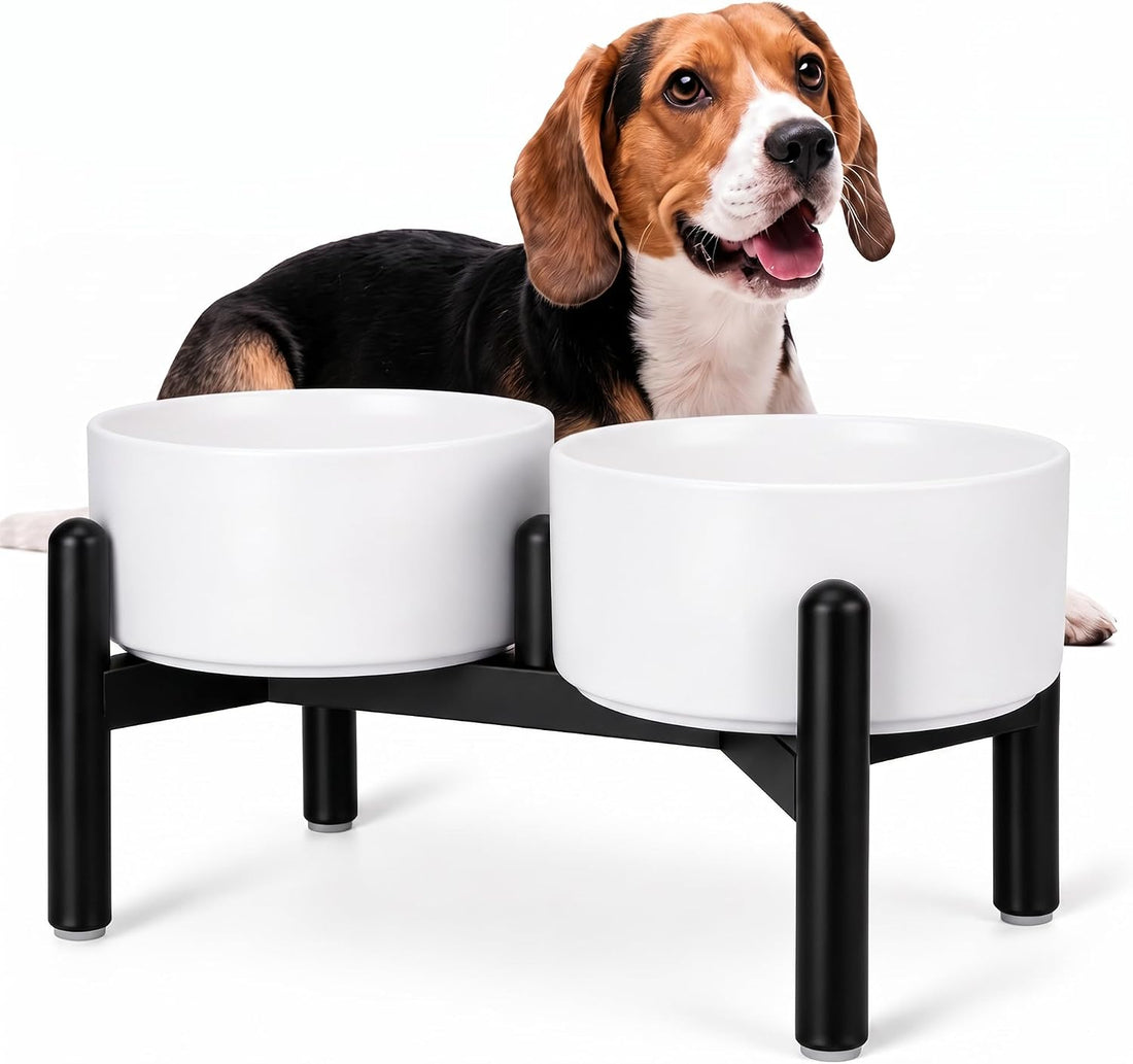 Raised Ceramic Dog Bowl Set - Elevated Double Dishes with Stainless