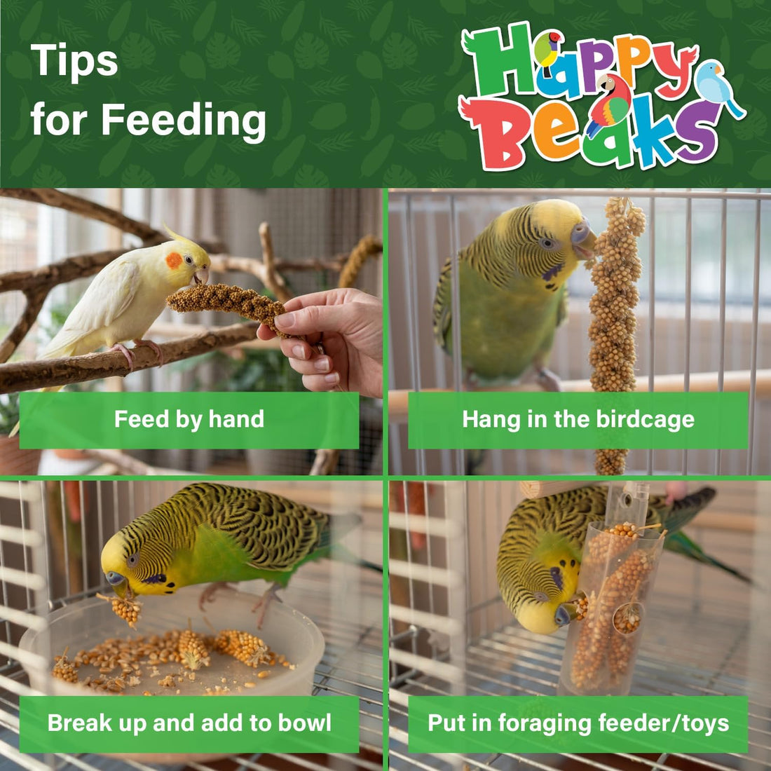 A&E Cage Co AE9054 Premium French Spray Millet for Birds