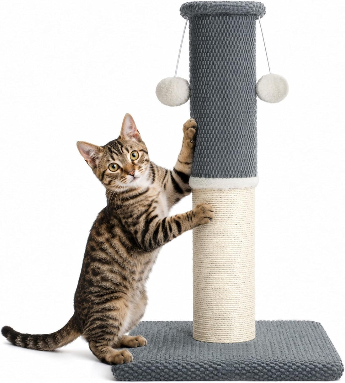 Made4Pets Cat Scratching Post with Sisal & Carpet for Indoor Cats