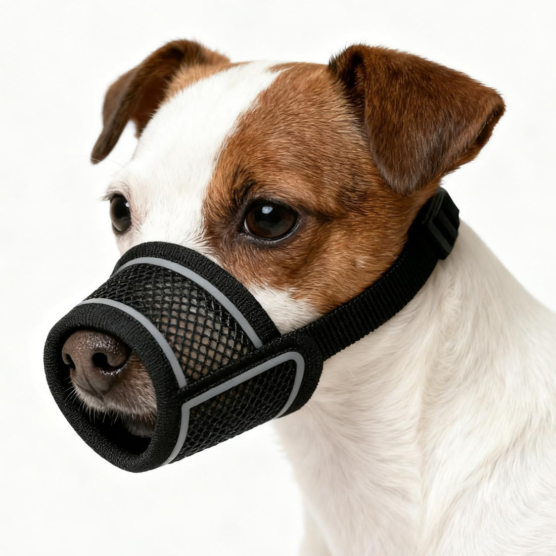 Dog Muzzle for Small Medium Large Dogs Soft Air Mesh Muzzles