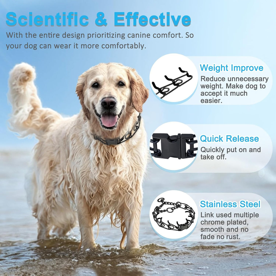 Prong Pinch Collar for Dogs,Dog Training Collar for Small Medium