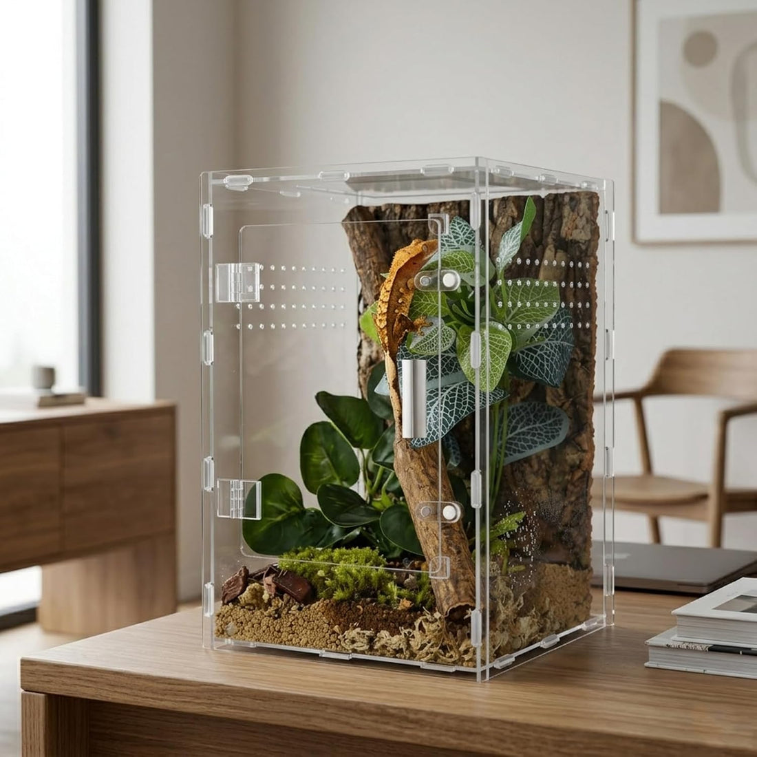 8x8x12 Acrylic Reptile Enclosure - Clear Terrarium Geckos Spiders