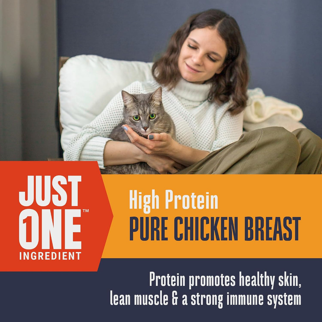 Whole Life Cat Just One Chicken Freeze Dried Cat Treats - 4 oz