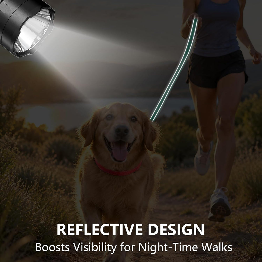 Reflective Dog Leash with Padded Handle for Medium Large Dogs