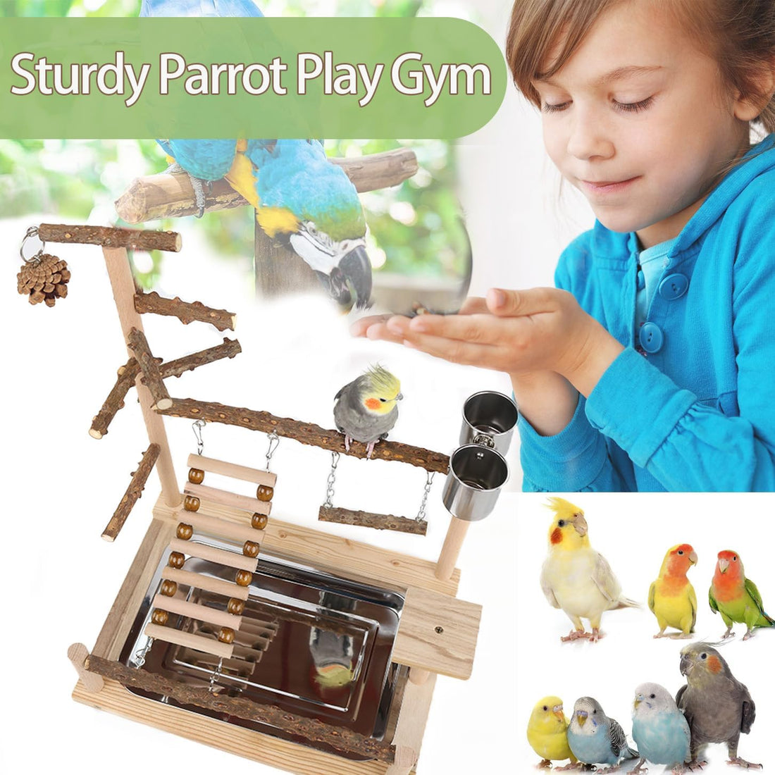 Bird Playground, Parrot Perch Stand
