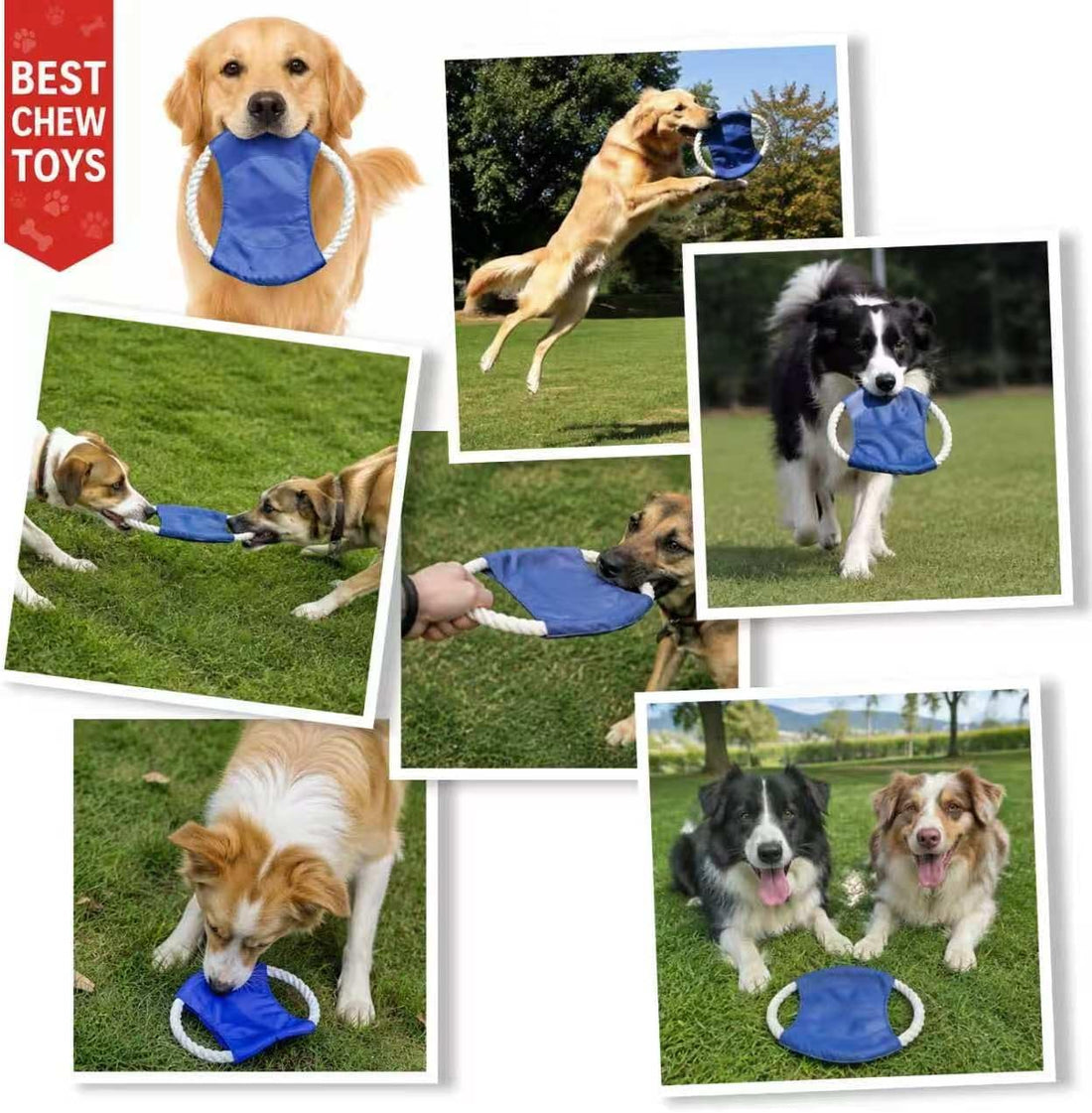 5 Pack Canvas Dog Flying Disc