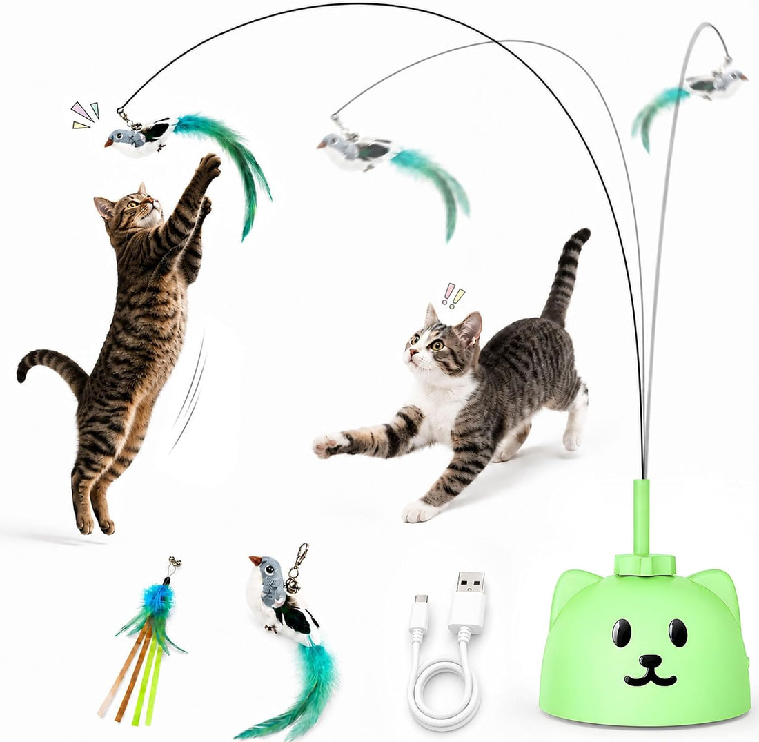 Interactive Cat Toys for Indoor Cats