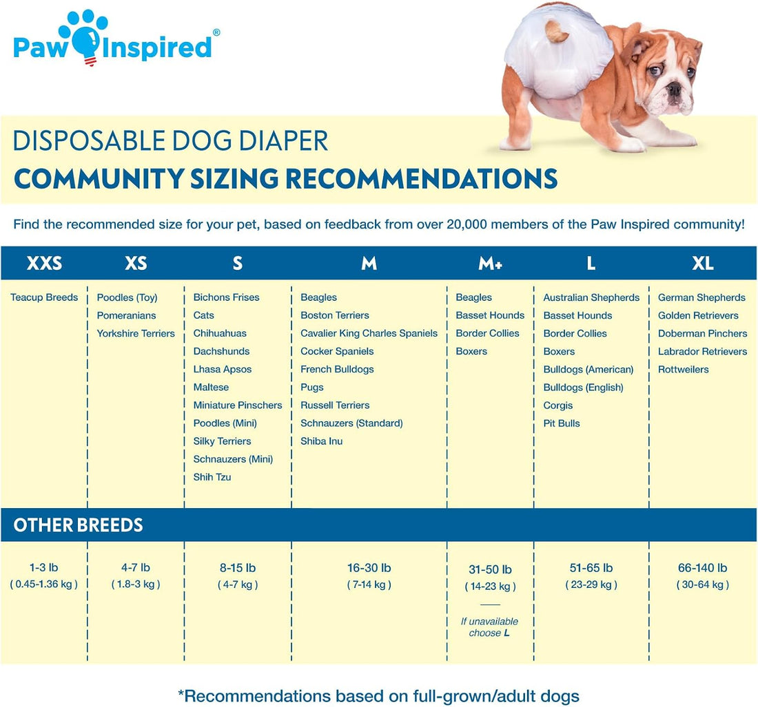 Paw Inspired 32ct Disposable Dog Diapers