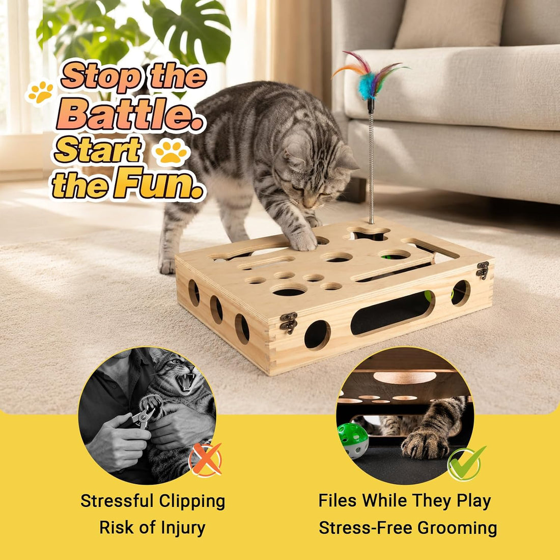 Cat Scratch Puzzle Enrichment Box
