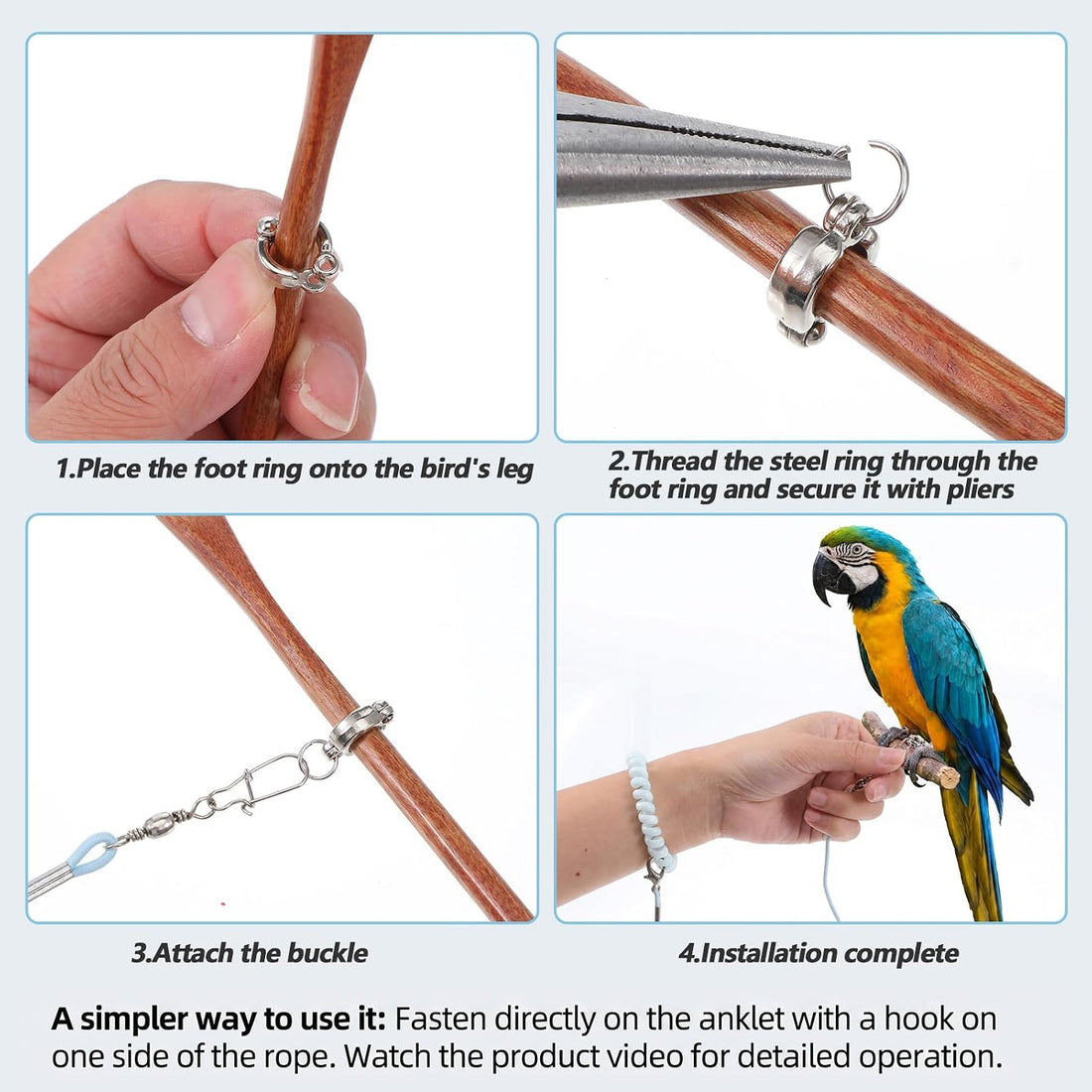 9.8ft Bird Flying Rope with 4 Foot Rings, Elastic Parrot Leash
