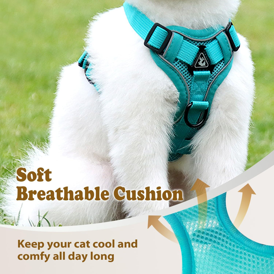 Cat Harness and Leash for Walking