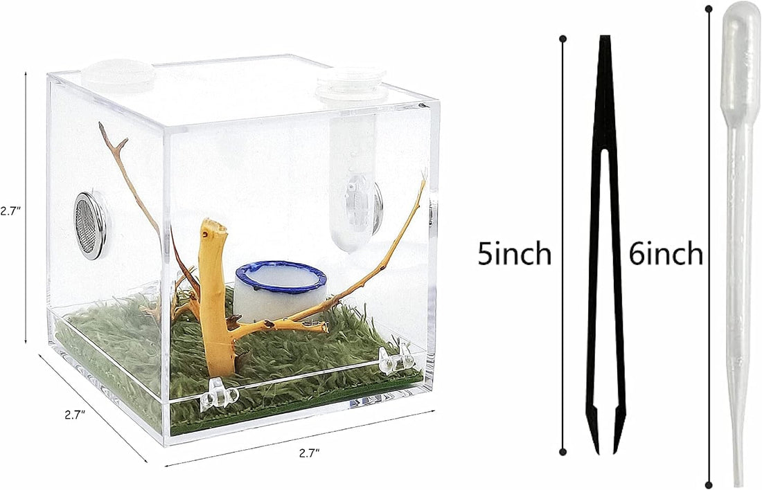 AWXZOM Spider Terrarium, Acrylic Reptile Breeding Box Jumping Spider