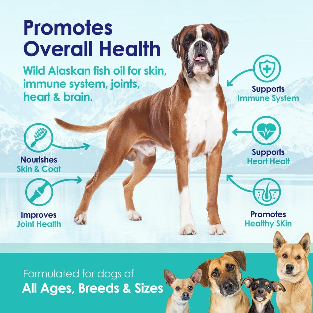 Pure Wild Alaskan Salmon Oil for Dogs
