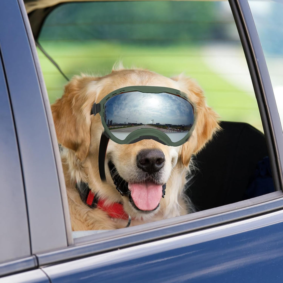 Flantor Dog Goggles for Large Dogs, UV Wind Dust Fog Protection