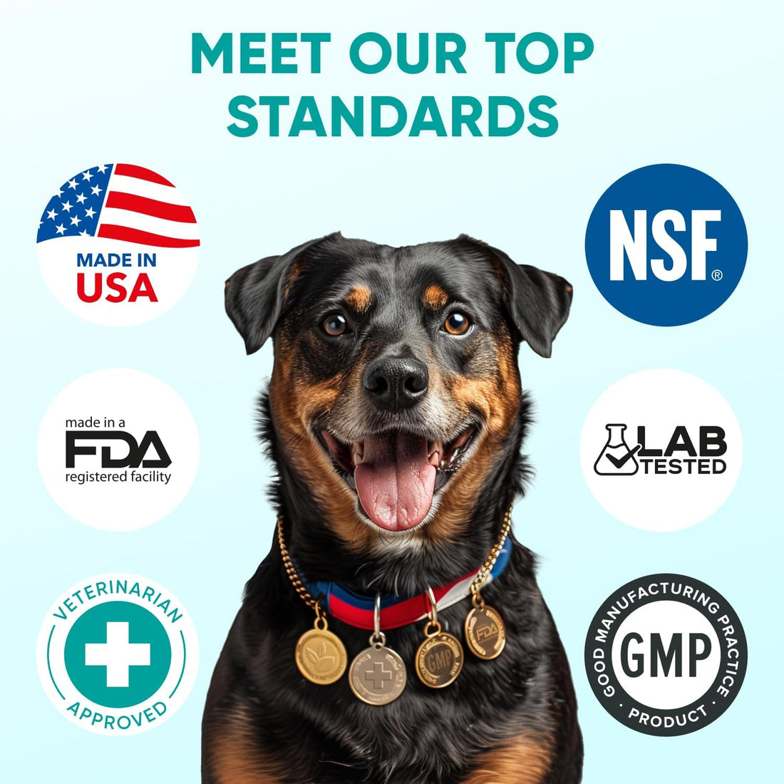 Hemp Calming Chews for Dogs - Dog Calming Chews for Anxiety Relief