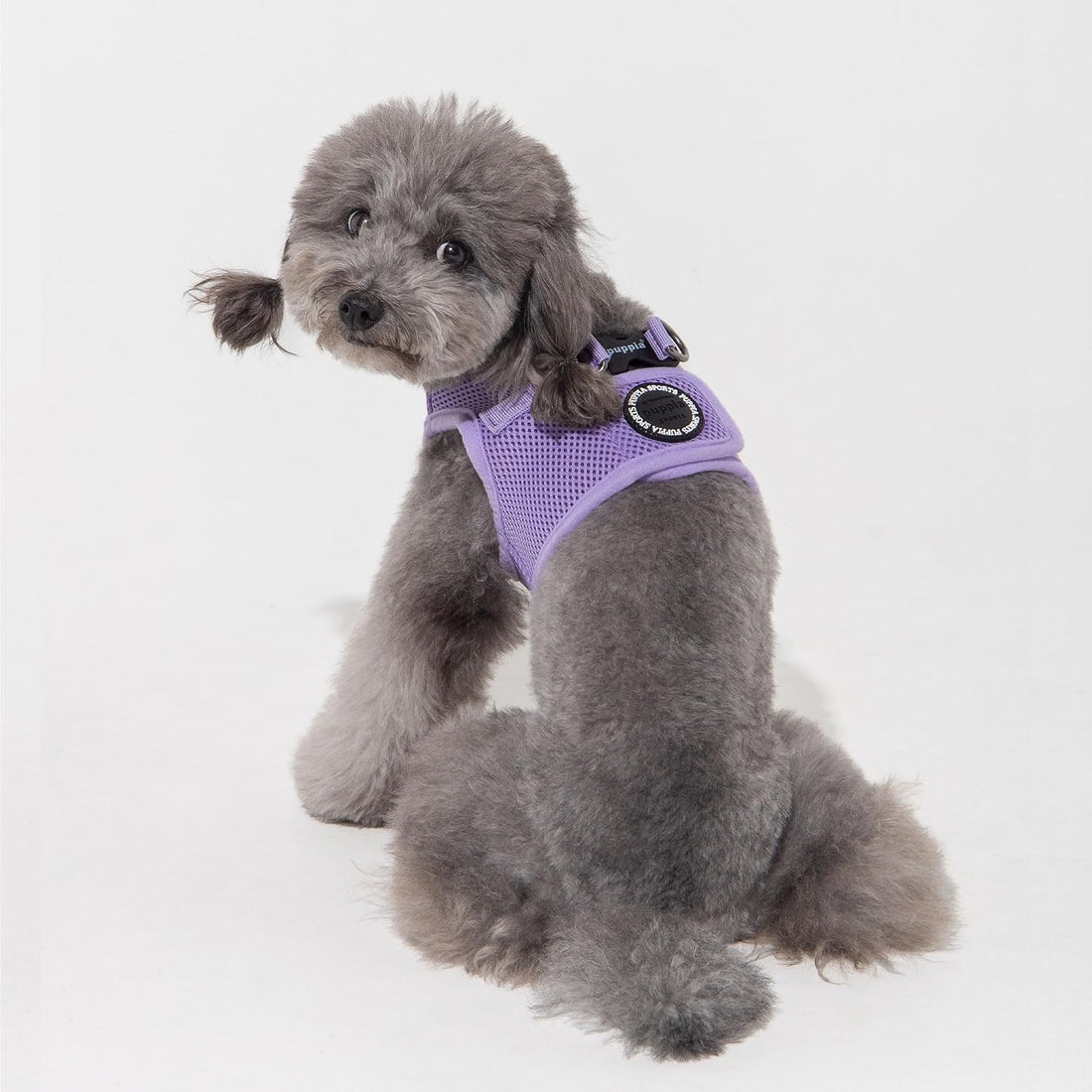 Puppia Soft Vest Dog Harness Step-in Padded Mesh No Choke No Pull