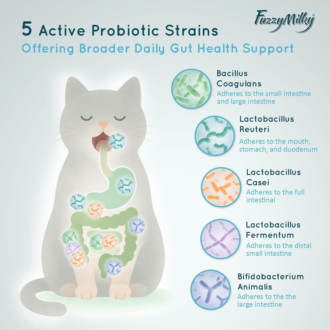 Lickable Cat Probiotic Treats